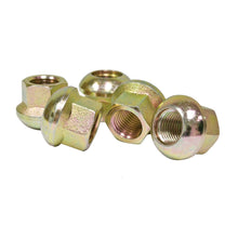 EMPI Competition Studs and Nuts